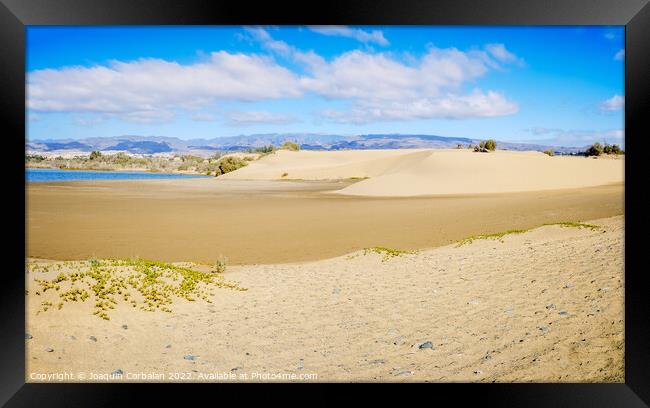 Sand dunes on the Canarian beach of Maspalomas. Framed Print by Joaquin Corbalan