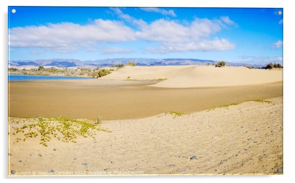 Sand dunes on the Canarian beach of Maspalomas. Acrylic by Joaquin Corbalan