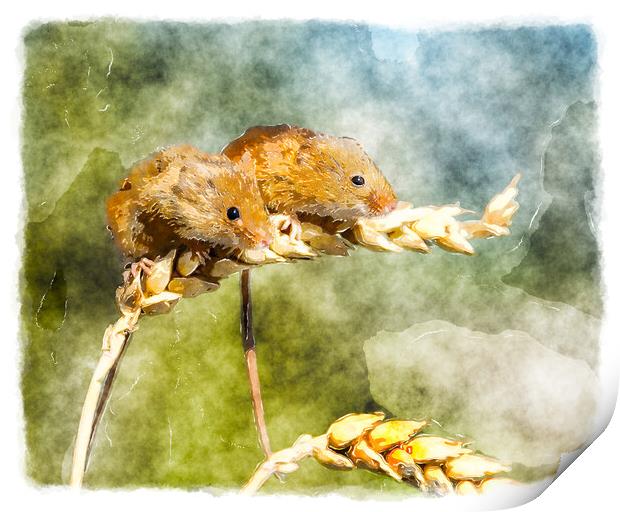Harvest Mice Print by Helen Hotson