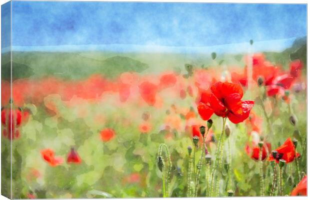 Red Poppies Background Canvas Print by Helen Hotson