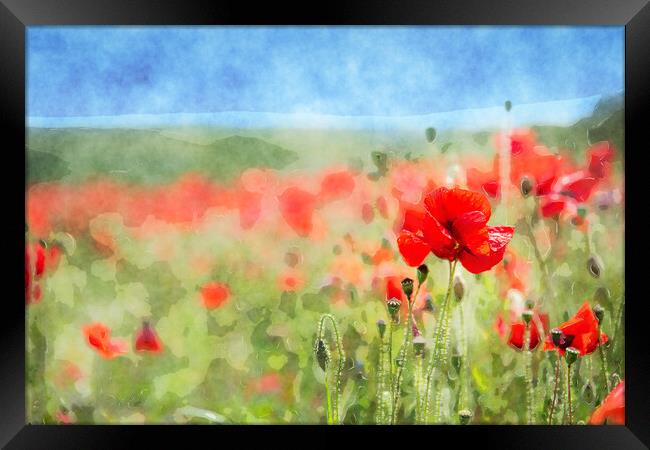 Red Poppies Background Framed Print by Helen Hotson