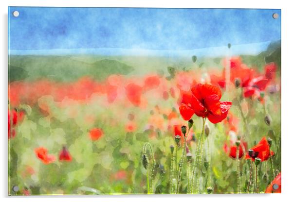 Red Poppies Background Acrylic by Helen Hotson