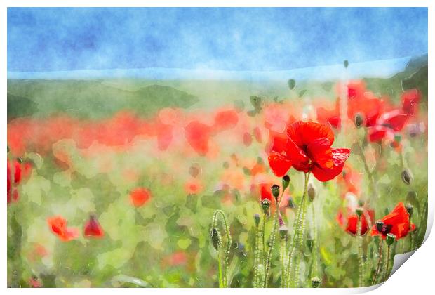 Red Poppies Background Print by Helen Hotson