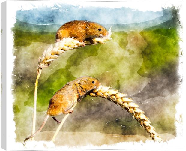 Harvest Mice Canvas Print by Helen Hotson