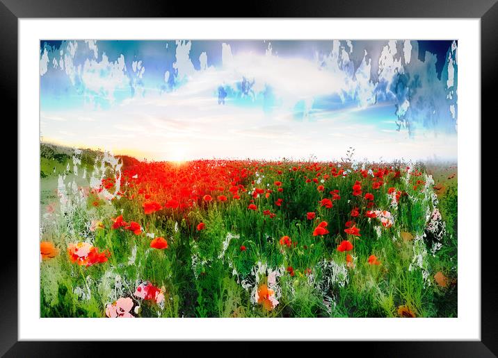 Poppy Fields in Cornwall Framed Mounted Print by Helen Hotson