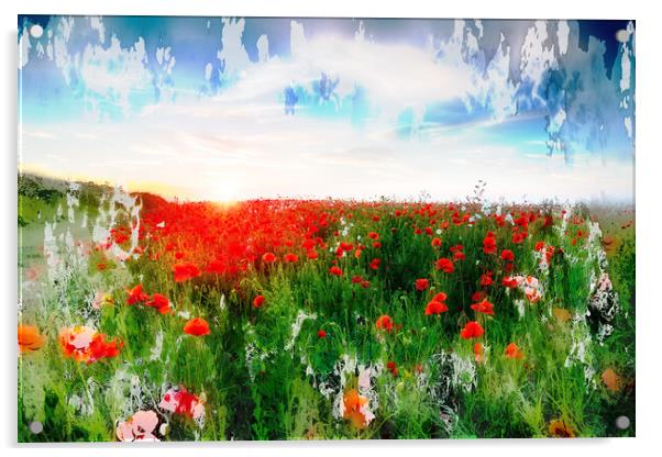 Poppy Fields in Cornwall Acrylic by Helen Hotson