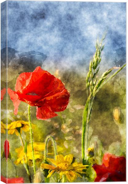 Poppies and Corn Marigolds Canvas Print by Helen Hotson