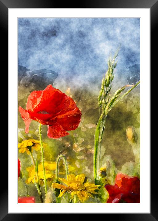 Poppies and Corn Marigolds Framed Mounted Print by Helen Hotson