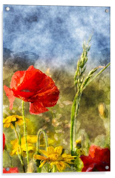Poppies and Corn Marigolds Acrylic by Helen Hotson