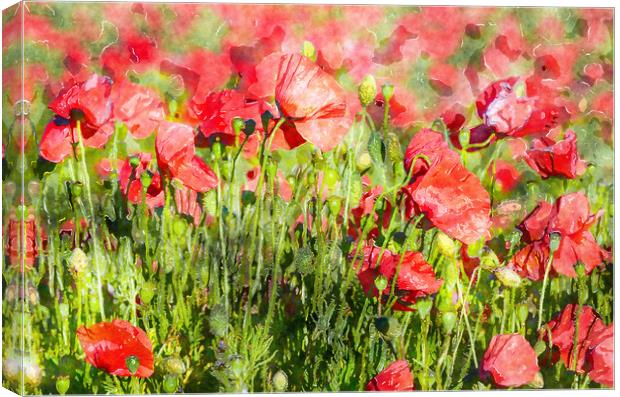 Bright Red Poppies Canvas Print by Helen Hotson