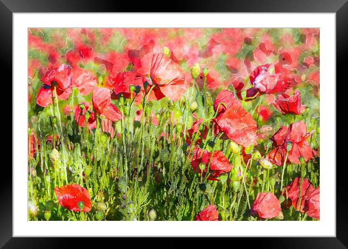 Bright Red Poppies Framed Mounted Print by Helen Hotson
