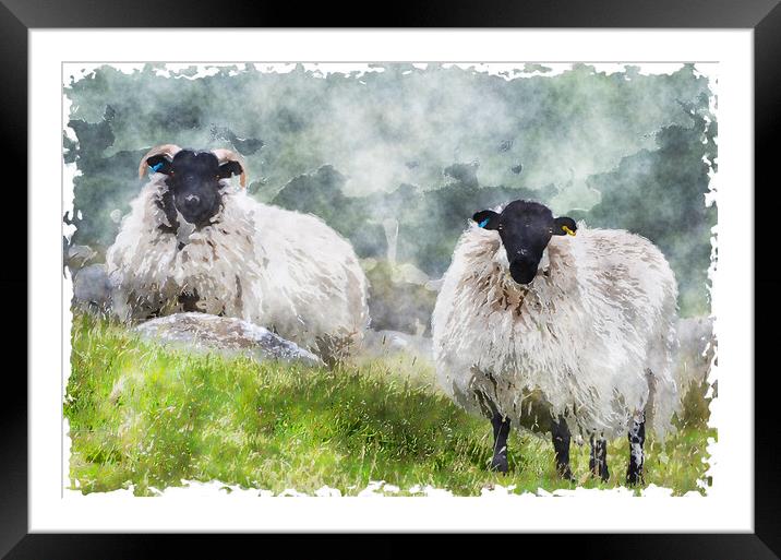 Sheep on the Moors Framed Mounted Print by Helen Hotson