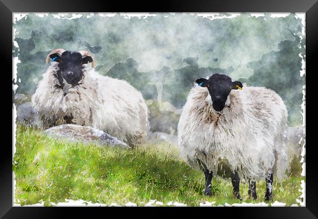 Sheep on the Moors Framed Print by Helen Hotson