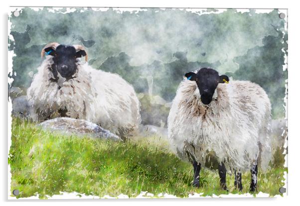 Sheep on the Moors Acrylic by Helen Hotson