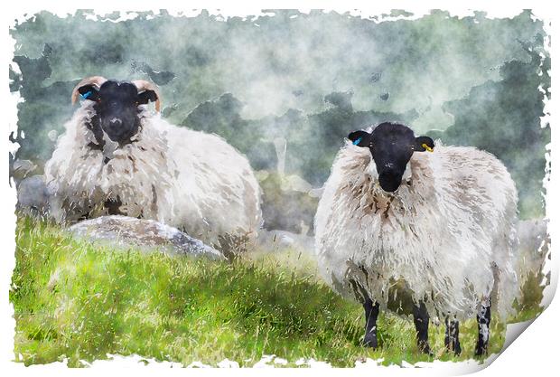 Sheep on the Moors Print by Helen Hotson