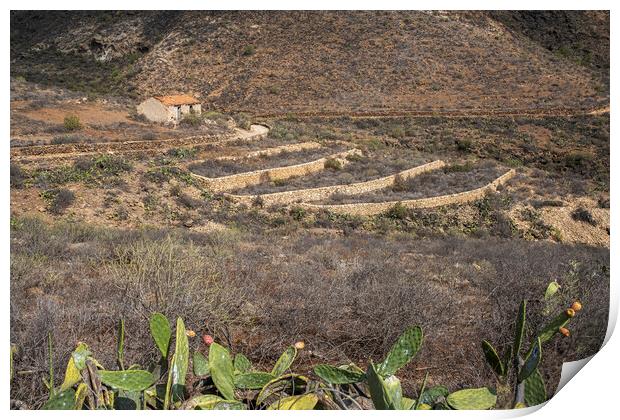 Abandoned finca farmhouse Tenerife Print by Phil Crean