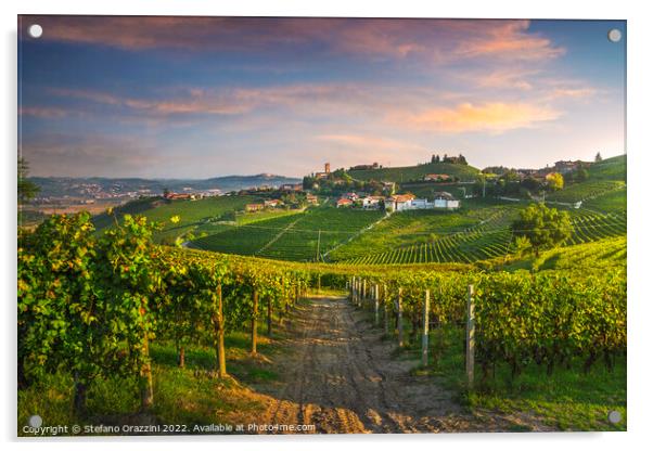 Barbaresco village and Langhe vineyards, Piedmont, Italy Acrylic by Stefano Orazzini