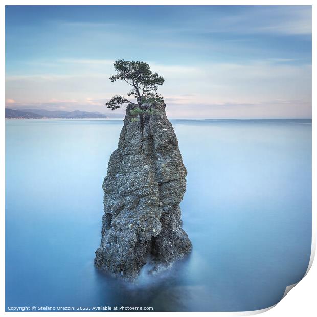 Pine tree on the rock. Long exposure. Portofino, Italy Print by Stefano Orazzini