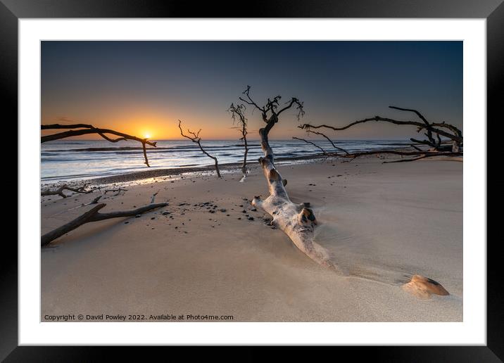 Benacre Beach Sunrise Framed Mounted Print by David Powley