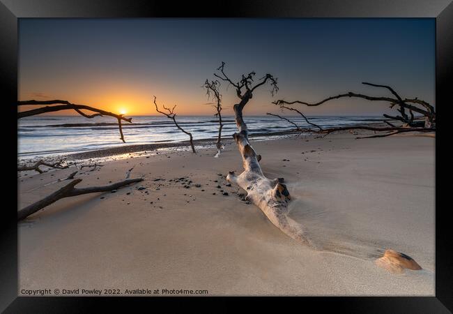 Benacre Beach Sunrise Framed Print by David Powley