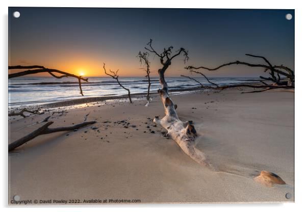 Benacre Beach Sunrise Acrylic by David Powley