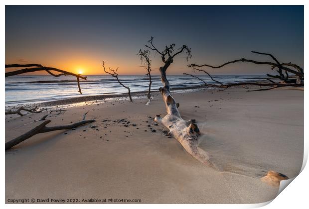 Benacre Beach Sunrise Print by David Powley