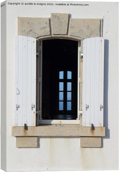 Closed window in an open window Canvas Print by aurélie le moigne