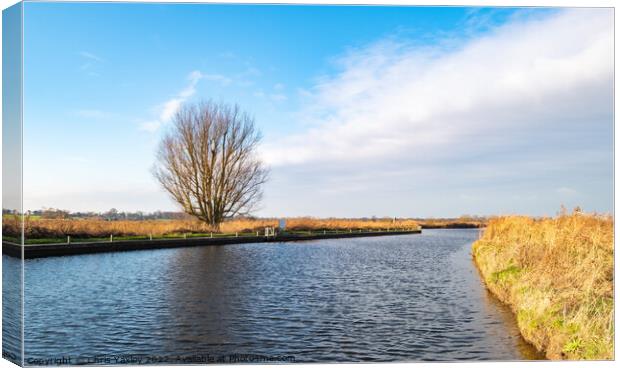 A view down the River Ant, Norfolk Broads. Canvas Print by Chris Yaxley