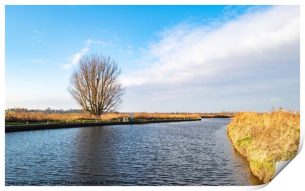 A view down the River Ant, Norfolk Broads. Print by Chris Yaxley