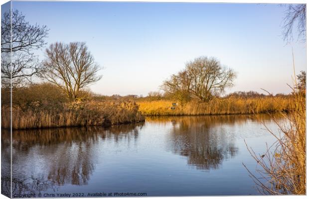 River Ant, Norfolk Broads Canvas Print by Chris Yaxley