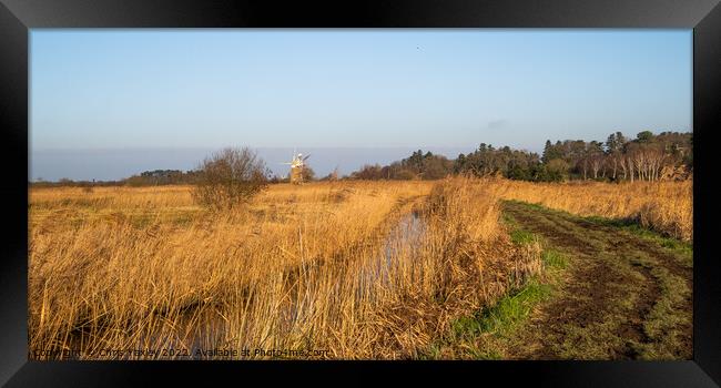 Norfolk reed bed Framed Print by Chris Yaxley