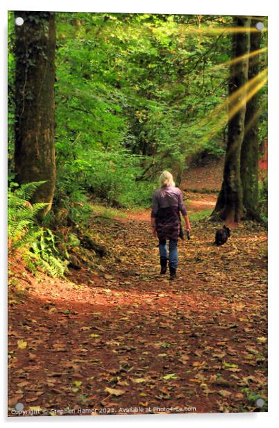 Woodland Dog Walk Acrylic by Stephen Hamer