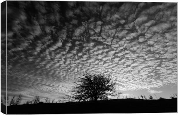 Sky cloud Canvas Print by Simon Johnson