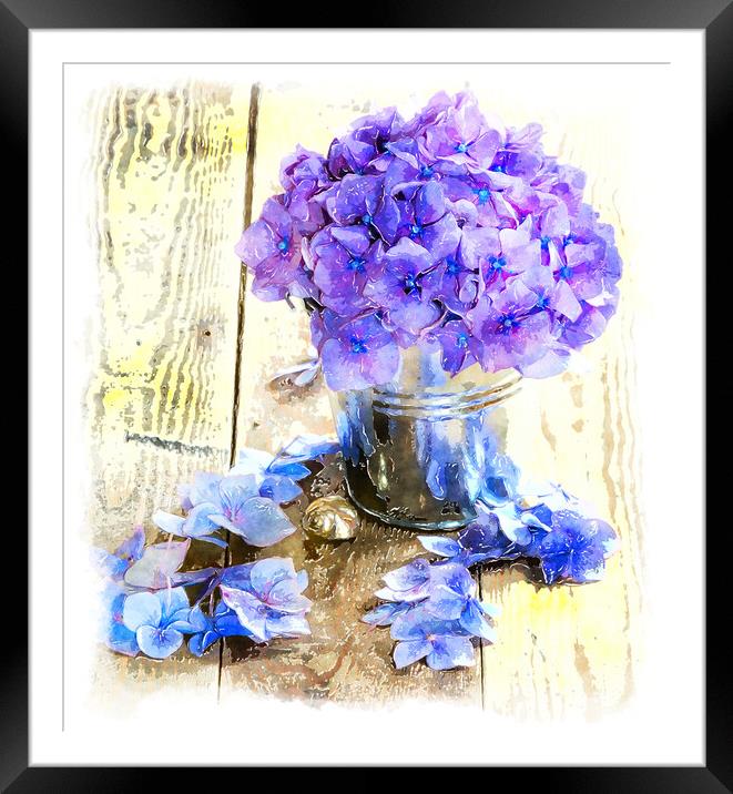 Hydrangea Petals Painting Framed Mounted Print by Helen Hotson