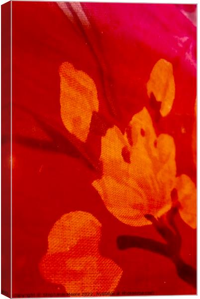 Abstract orange flowers Canvas Print by Stephanie Moore