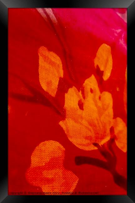 Abstract orange flowers Framed Print by Stephanie Moore