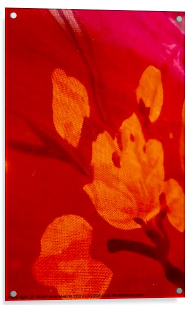 Abstract orange flowers Acrylic by Stephanie Moore