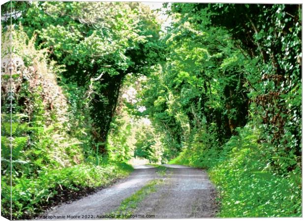 Sunlit lane Canvas Print by Stephanie Moore