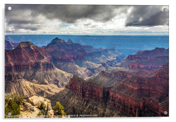 Bright Angel point scenic vista Acrylic by Pierre Leclerc Photography