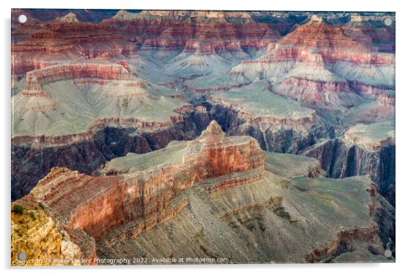 Grand Canyon Colors Acrylic by Pierre Leclerc Photography