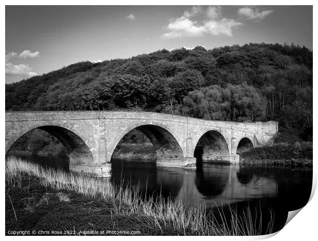 Wye Valley bridge Print by Chris Rose