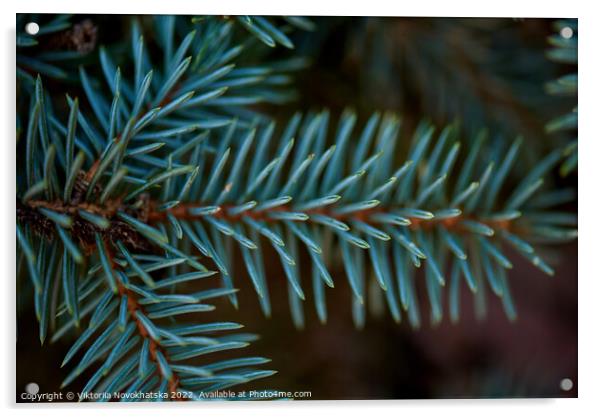 Green spiny branches of spruce  Acrylic by Viktoriia Novokhatska