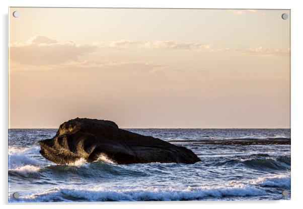 Animal shaped rock at sea Tenerife Acrylic by Phil Crean