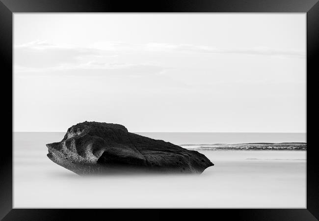 Animal shaped rock at sea Tenerife Framed Print by Phil Crean