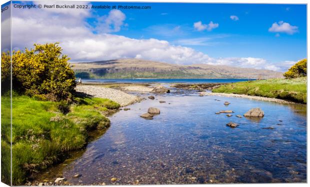 Flowing into Sound of Mull Scotland Canvas Print by Pearl Bucknall