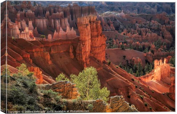 First Light at Bryce Canyon Canvas Print by Donna Kennedy