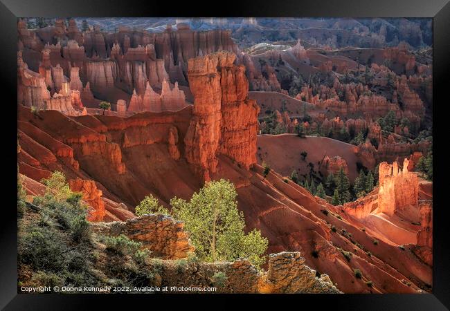 First Light at Bryce Canyon Framed Print by Donna Kennedy