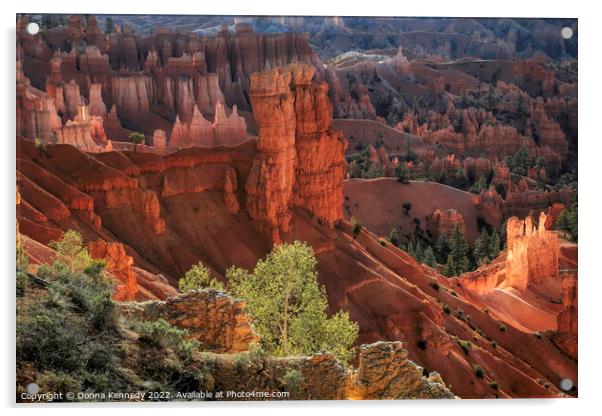 First Light at Bryce Canyon Acrylic by Donna Kennedy