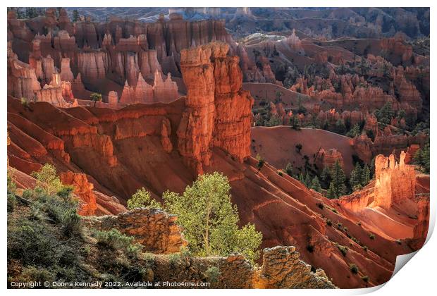 First Light at Bryce Canyon Print by Donna Kennedy