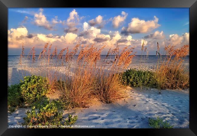 Sunrise on Gasparilla Island Framed Print by Donna Kennedy